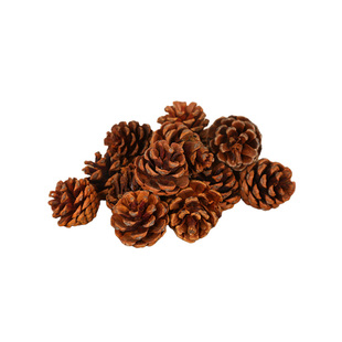 超级大松果装饰摆件松塔圣诞节客厅拍摄道具diy材料摆件天然风干