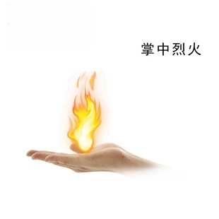 【炫酷掌中火】魔法道具魔术表演焦点操作简单易学会聚会热烈全场