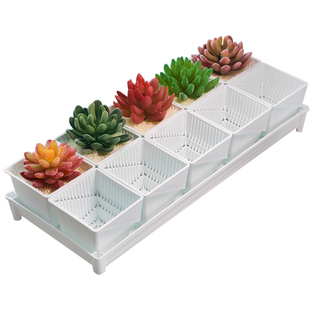 美莳控根多肉花盆长条形塑料透气专用小号方盆和营养土带托盘包邮