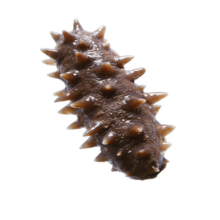 海参即食鲜活淡干辽宁大连孕妇干货野生海刺参500g单个装独立包装