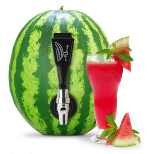 加拿大Final Touch 西瓜取汁器 果汁饮水器 饮料分配器 原汁原味
