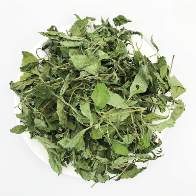 保健草薄荷叶菊苣草蒲公英桑叶