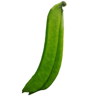 红刀豆种子大刀豆搭架蔬菜种孑大全春秋四季室内阳台农家豆角种籽
