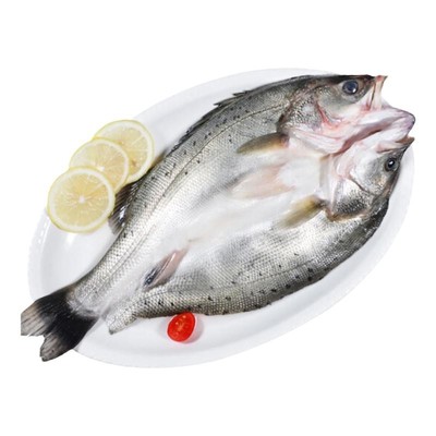 海鲈鱼海捕冷链运输顺丰包邮