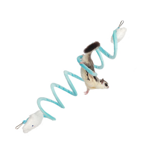 蜜袋鼯玩具弹力攀爬绳飞鼠吊绳秋千悬挂站绳笼子专用装饰用品家具