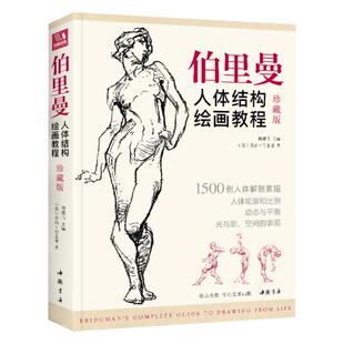 珍藏版 伯里曼人体结构教学 人物速写入门基础绘画临摹书籍 透视技法自学头像美术艺术手绘教材全套正版 杨建飞主编
