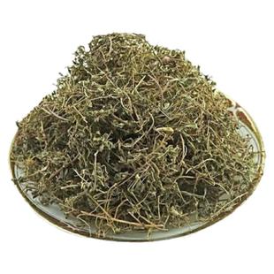 新鲜地锦草血见愁奶汁草红莲草铁线小红筋草奶浆草小飞杨草包邮