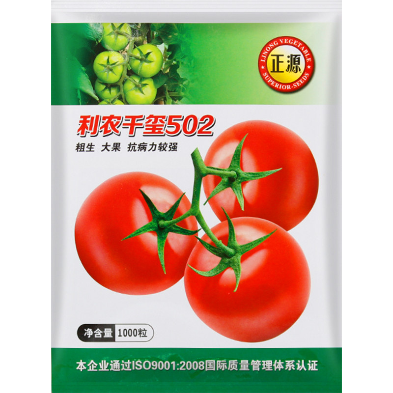 和利农红果番茄抗tv病毒大小匀称