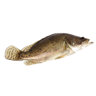 【1-5条】臭鳜鱼安徽黄山特产正宗净膛腌制徽州桂鱼半成品礼盒