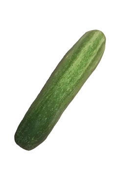新鲜黄瓜农家蔬菜自种老品种黄瓜