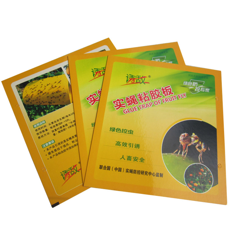 诱敌实蝇粘胶果园针蜂农用大棚
