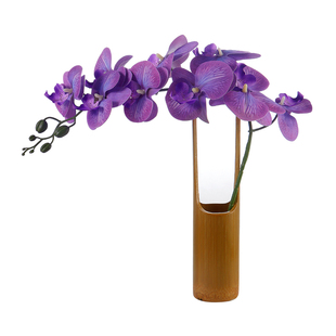 刺身竹筒摆盘装饰花草干冰小壶摆件海鲜姿造酒店冷凉菜品盘式点缀