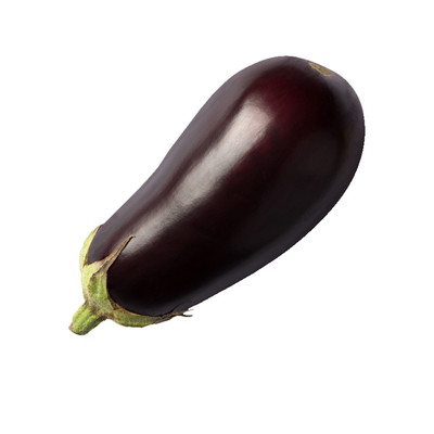 春夏秋冬蔬菜苗四季阳台番茄辣椒