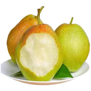 正宗红香酥梨头茬当季现摘香梨青梨子脆甜特产新鲜水果整箱包邮