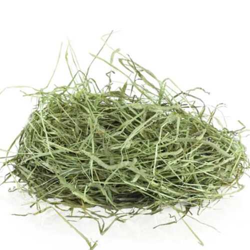 26年新烘干提摩西草毛重1000g甘肃北提嫩草兔干草龙猫荷兰猪粮草
