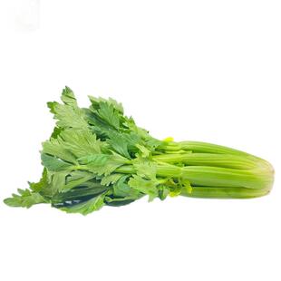 【千牛优福】新鲜水果西芹250g荷兰清芹榨汁生吃沙拉蔬菜清甜爽口