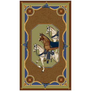 范居态度骑士入户地垫耐脏防滑免洗马年进门垫高级感心驰所愿脚垫