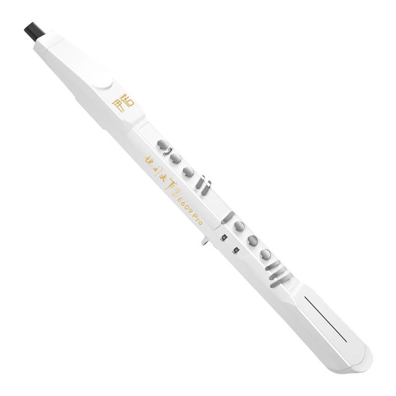 伊诺定制款中老年电吹管乐器初学者萨克斯笛子提琴零基础电子吹管