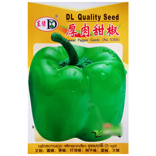 厚肉甜椒种子灯笼椒青辣椒菜椒圆椒种籽农家菜园阳台盆栽蔬菜种孑