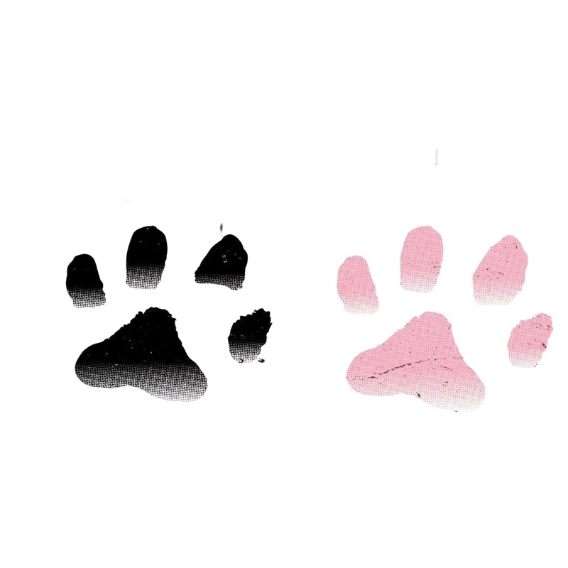 猫咪猫爪温变彩色可洗纹身贴