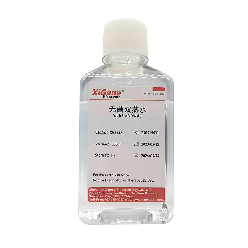 无菌双蒸水ddH2O超纯水DDW水细胞培养实验