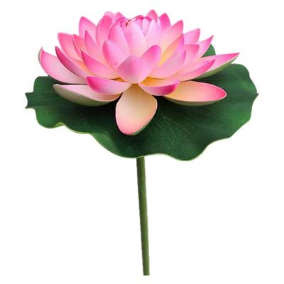 江南可采莲女童古典舞练功服