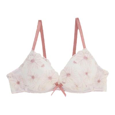 RisaMagli大钢圈聚拢圆盘文胸