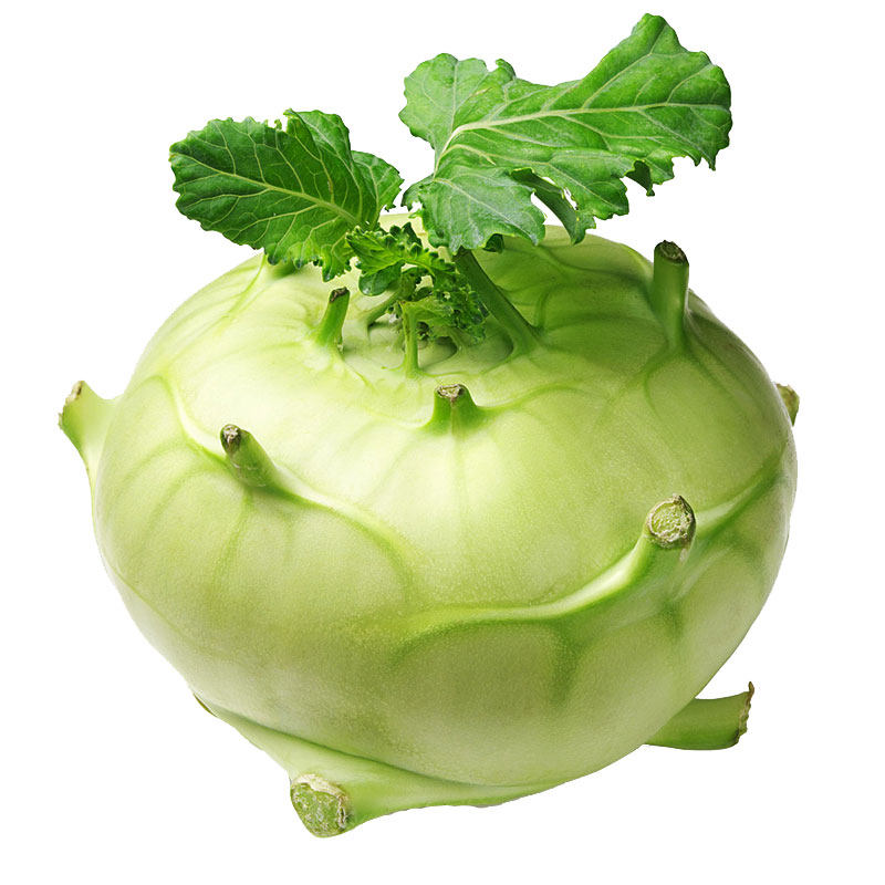 青苤兰种子紫苤蓝种籽高产菜籽蔬菜孑籽种芥兰头芥蓝球茎水果甘蓝