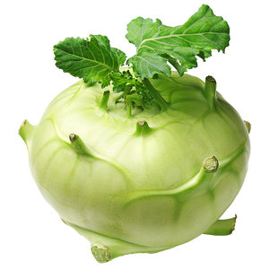 青苤兰种子紫苤蓝种籽高产菜籽蔬菜孑籽种芥兰头芥蓝球茎水果甘蓝