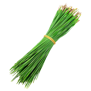 新鲜 马尾松针 细松针 松树针叶 50g 酒店西餐日料餐饮摆盘装饰