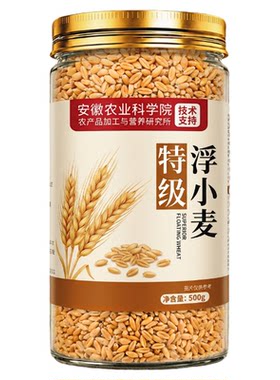 农科院！特级浮小麦止汗茶