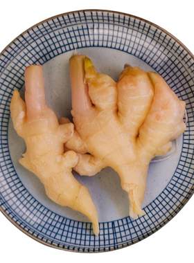 四川泡菜250g老坛泡泡仔姜嫩姜芽