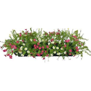 喜语仿真花假草混搭花艺室外广场花箱绿植摆件餐厅咖啡馆隔断装饰