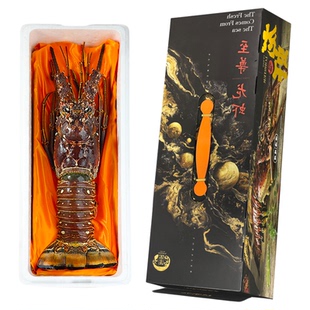 玛可鲜生 古巴龙虾礼盒2斤大龙虾澳洲龙虾非波士顿龙虾礼盒大礼包