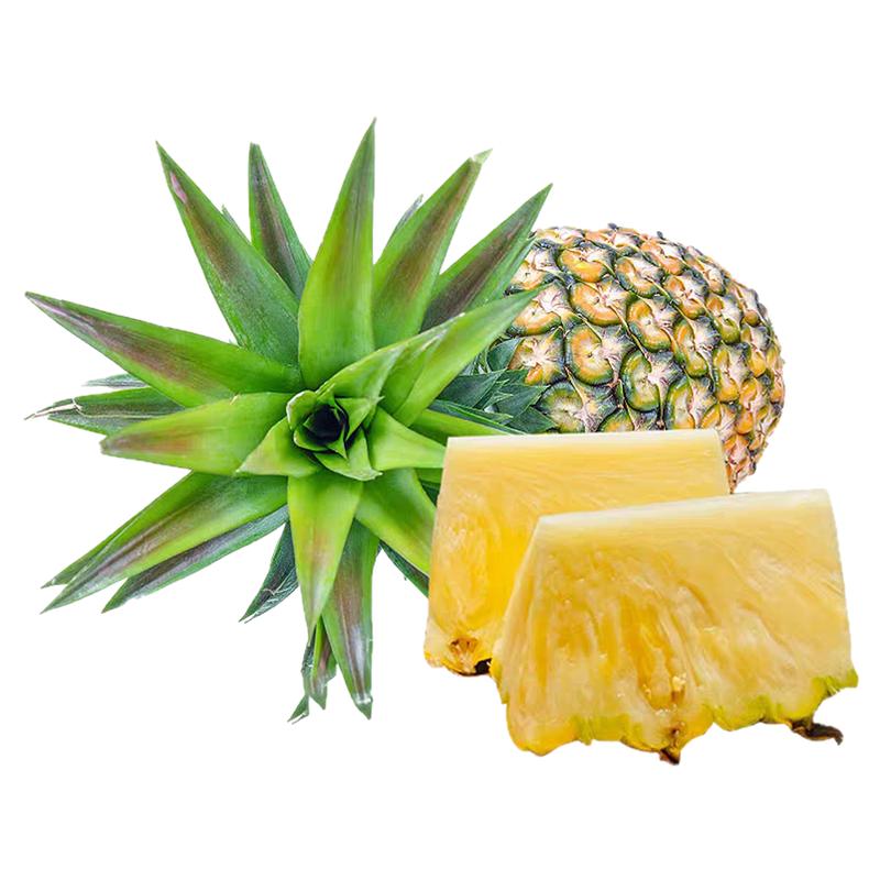 海南冬蜜凤梨树上熟9斤现摘顺丰