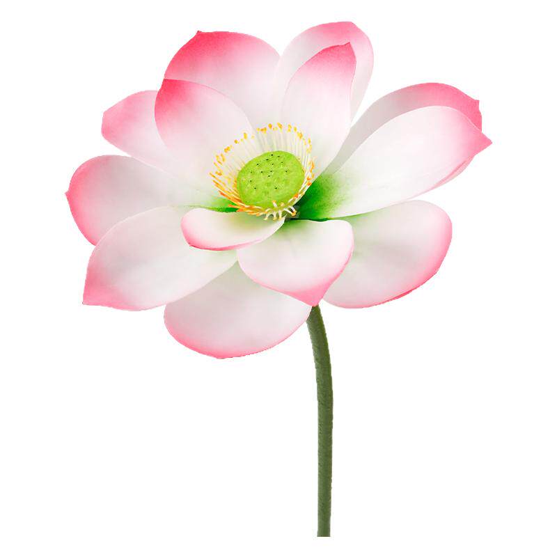 荷花莲蓬荷叶仿真莲花客厅摆件