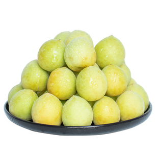 小白梅诏安青梅鲜果高山野生现摘白粉梅泡酒露汁新鲜生酸脆梅子