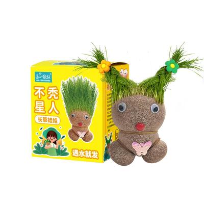 匠心绽放草头娃娃创意趣味盆栽