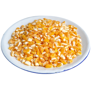 金奶奶新东北笨玉米大碴子农家粗粮新碾磨笨苞谷米渣茬子煮粥杂粮