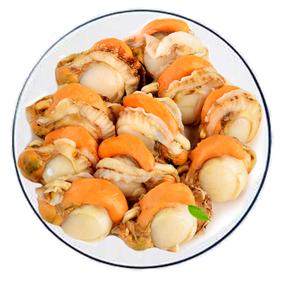 无冰衣特级大号带黄扇贝肉商用