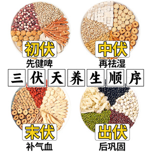 三伏天养生茶祛湿茶包五指毛桃茯苓芡实赤豆薏米适合三伏天喝的茶