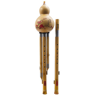 楠竹双调葫芦丝F加G降B加C调音准易吹耐用成人演奏专业乐器不易裂