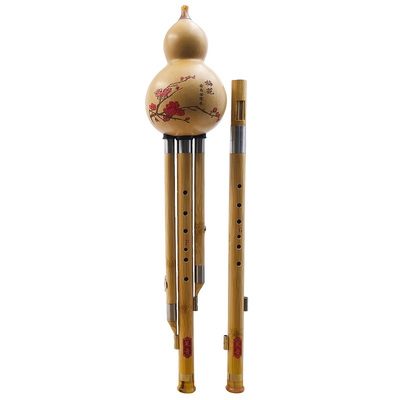 策音楠竹乐器双调葫芦丝成人演奏