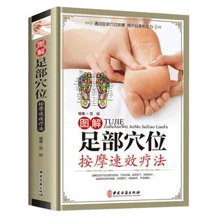 MM图解易学易会足部穴位按摩速效疗法足底反射区技师按摩经络穴位手法手册中医保健养生大全足疗店用书脚底教程基本技能教材书籍