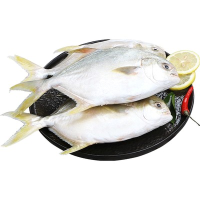 鲜驰深海金银水产冷冻包邮鲳鱼