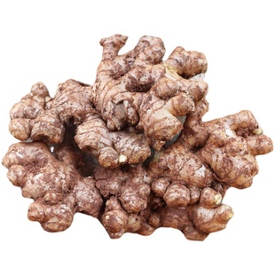 云南正宗小黄姜老姜新鲜生姜姜母农家自种土黄姜非种子姜月子干姜