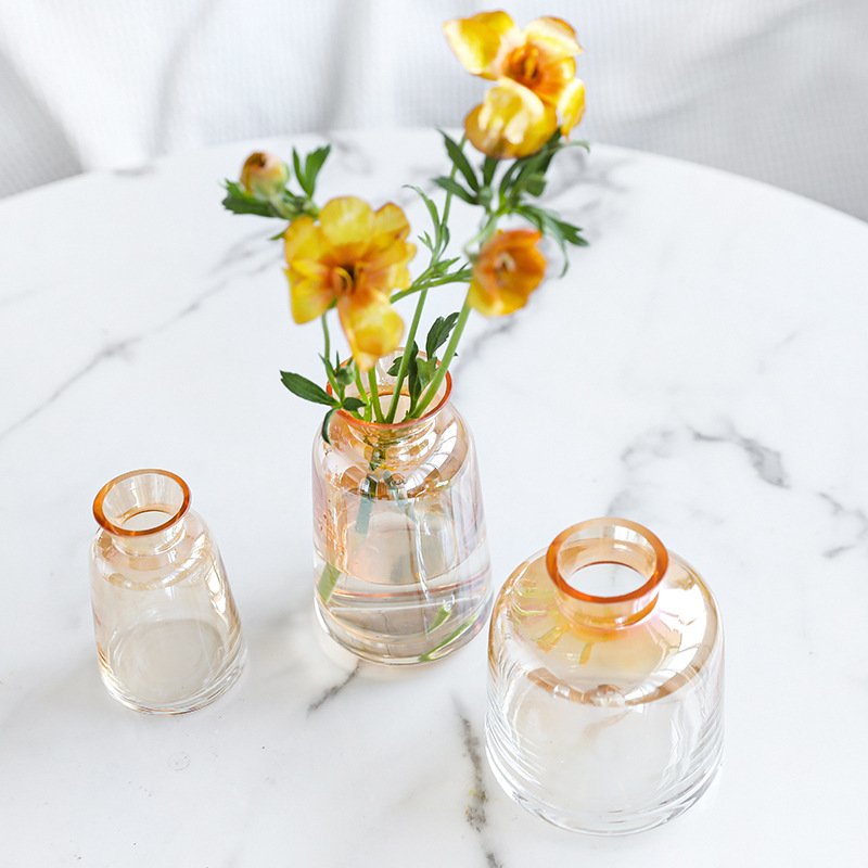 视远透明花瓶中古玻璃装饰创意摆件渐变玫瑰插花批发感金花高级假