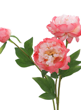 中国风芍药仿真花客厅摆件