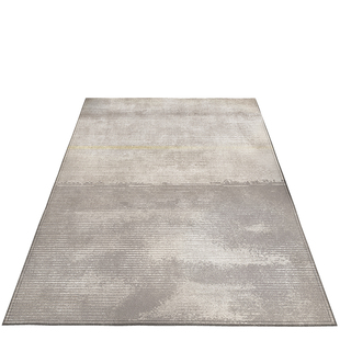 入户门地垫可擦免洗脚垫现代简约防滑入户门玄关口地毯可裁剪地垫