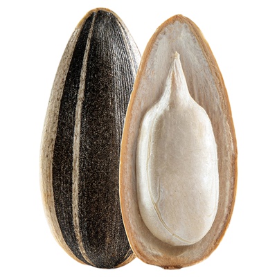 孟令军炒货新货原味瓜子现炒甄选大颗粒赤峰葵花籽官方旗舰店袋装